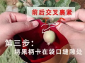 苹果怎么套袋视频
