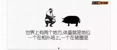 娱乐吃瓜搞笑剪辑文案短句,短句盘点